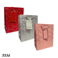 Пакет подарунковий 18х23 Асорті різнокольорові  (5534)