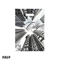 Пакет ПластикПак Місто  29х37 см (9869)