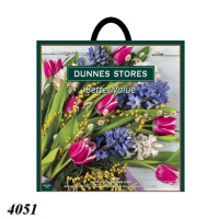 Пакет ПластикПак Весняний букет 43х44 см (4051)