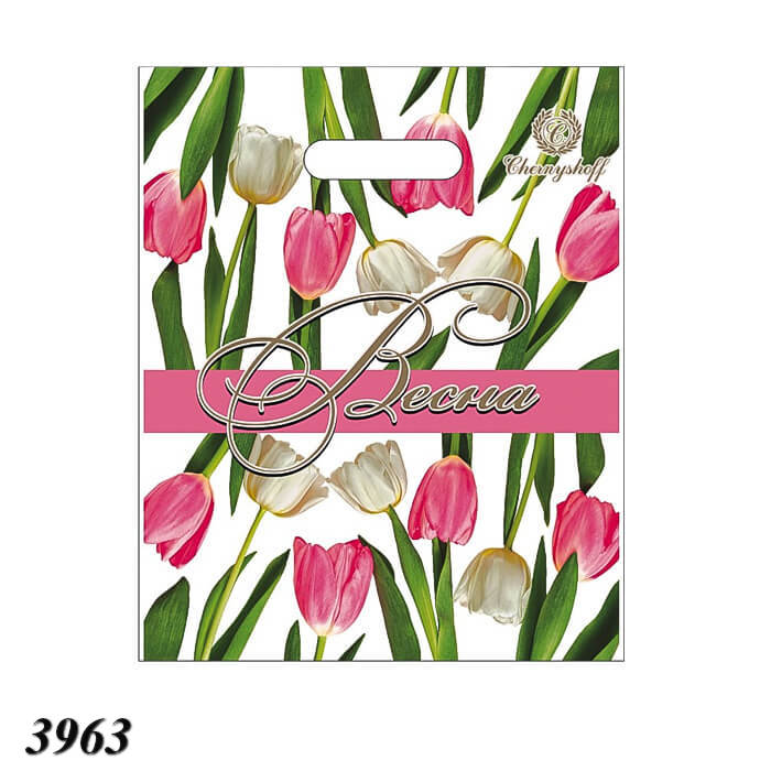 Пакет ПластикПак Весна 25х30 см  Пакет ПластикПак Весна 25х30 см