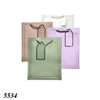 Пакет подарунковий 18х23 Асорті різнокольорові  (5534)