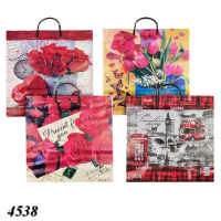 Пакет з пластиковою ручкою в асортименті 40х40 см (4538) Пакет з пластиковою ручкою в асортименті 40х40 см (4538)