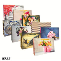 Пакет подарунковий паперовий 37х25х10 см (8955)