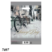 Пакет новорічний Зимовий день 30х37 см (7407)