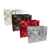 Пакет подарунковий 23х18 Асорті з кольоровою рамкою (1296)