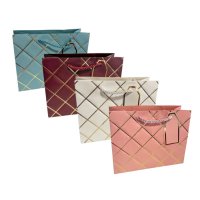 Пакет подарунковий 23х18 Асорті з кольоровою рамкою (1296)