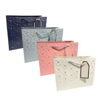 Пакет подарунковий 23х18 Асорті з кольоровою рамкою (1296)