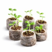 Торфяні таблетки  для розсади "Легкий старт" уп.20 шт (3768)