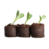 Торфяні таблетки  для розсади "Легкий старт" уп.20 шт (3768)