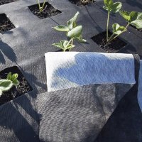 Агроволокно Agreen 50г 0.8м х 100м (80м2) рулон h=0,8м чорно-біле