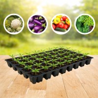 Касета для розсади 54х28см на 50 комірок XQB50 (A 1707)