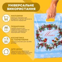 Пакет новорічний Зимові птахи 29х37 см (1173)