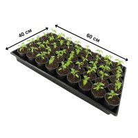 Піддон під касети для розсади 60х40х2.5 см (4183)