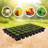 Касета для розсади 54х28см на 72 комірок XQB72 (A 9998)