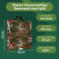 Пакет новорічний Зимовий настрій 40х42 см (1134)