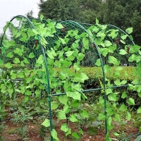 Сітка огіркова Agreen в рулоні 1,7х500м (A 1956)