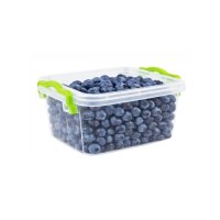 Контейнер харчовий з ручками LUX 0,5 л (2989)