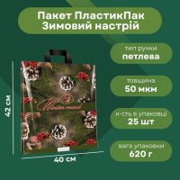 Пакет новорічний Зимовий настрій 40х42 см (1134)