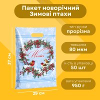 Пакет новорічний Зимові птахи 29х37 см (1173)