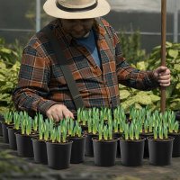 Горщик для розсади 350 мл з перфорацією D 90 мм (1440)