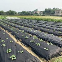 Агроволокно Agreen 50 мк пакет 3.2м х 10м чорний (A 1710)