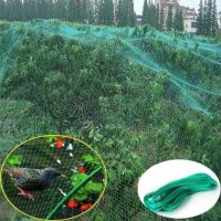 Сітка від птахів Agreen 4м х 20м (A8779)