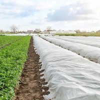 Агроволокно Agreen в рулоні 23  г/м² 3.2х25 м Біле (A 3863)