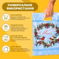 Пакет новорічний Зимові птахи 29х37 см (1173)