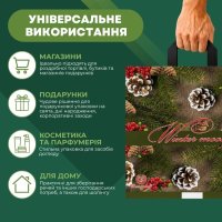 Пакет новорічний Зимовий настрій 40х42 см (1134)