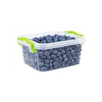 Контейнер харчовий з ручками LUX 0,5 л (2989)