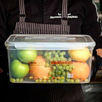 Контейнер харчовий герметичний з ручкою Ubox 10 л (4401)