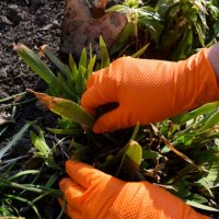 Рукавички нітрилові чорні/помаранчеві  MediPlus 50 шт XL (2168)