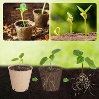 Торф'яний стаканчик 6х6 см (3377)