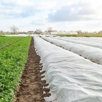 Агроволокно Agreen в рулоні 30 мк 3.2х25 м Біле (A3864)