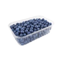 Контейнер для ягід та фруктів 950 мл (2907)