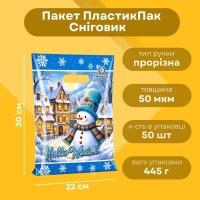 Пакет новорічний Сніговик 22х30 см (5325)