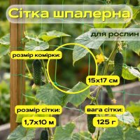 Сітка шпалерна для огірків 1.7х10 м 15х17 см (9551)