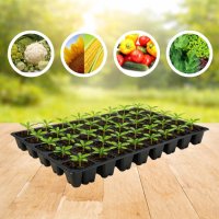 Касета для розсади 54х28см на 72 комірок XQB72 (A 9998)