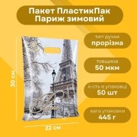 Пакет новорічний Париж зимовий 22х30 см (0095)
