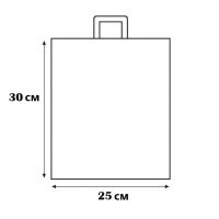 Пакет ПластикПак Вітаю 25х30 см (2171)