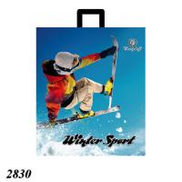 Пакет новорічний Спорт зимовий 40х45 см (2830)