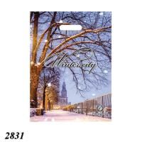Пакет новорічний Зимове місто 29х37 см (2831)
