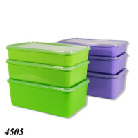 Судок харчовий прямокутний ПГ 1,0л (4505) Судок харчовий прямокутний ПГ 1,0л (4505)