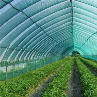 Сітка затіняюча Agreen в рулоні 60% 5х50 м (A 5929) Сітка затіняюча Agreen в рулоні 60% 5х50 м (A 5929)